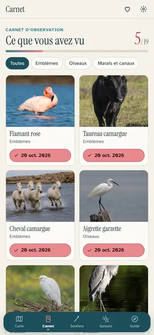 Le carnet d'observation